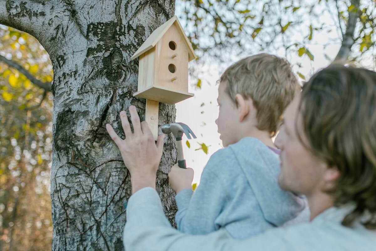 building a Homemade birdhouse